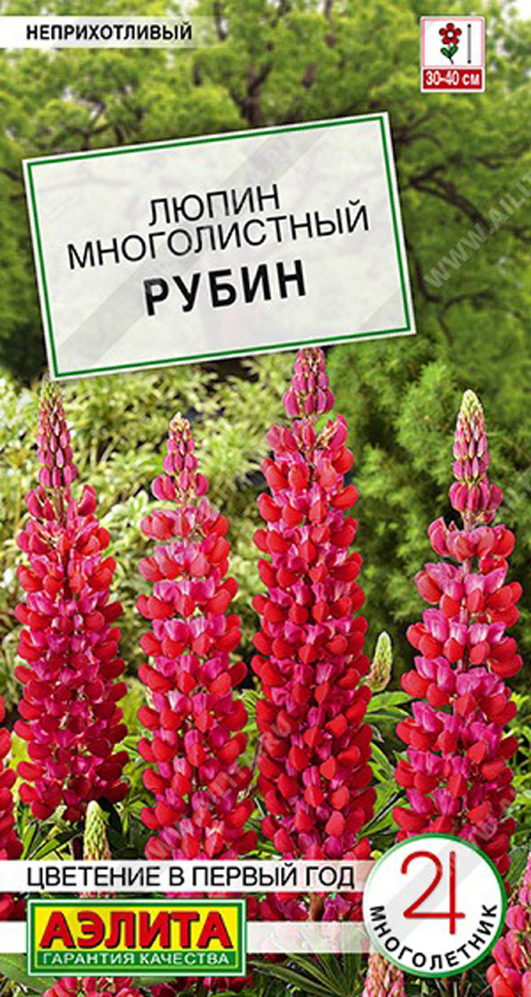 Купить Семена Люпина Красного