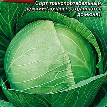 Капуста б/к Зимовка 1474, 0.5 г