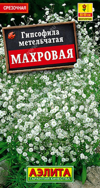 Гипсофила Махровая многолетняя, 0.05 г