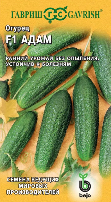 Огурец Адам F1, 5 шт семян