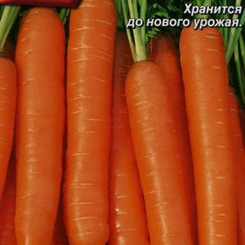 Морковь Император (лента 8 м)