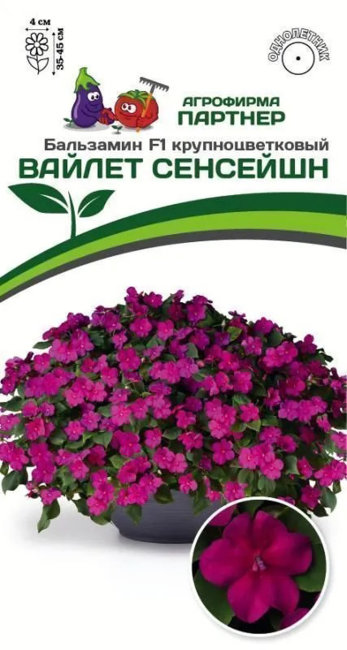 Бальзамин Уоллера F1 крупноцветковый Вайлет Сенсейшн, 5 шт семян