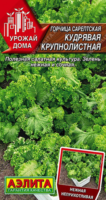 Горчица сарептская Кудрявая крупнолистная, 0.5 г