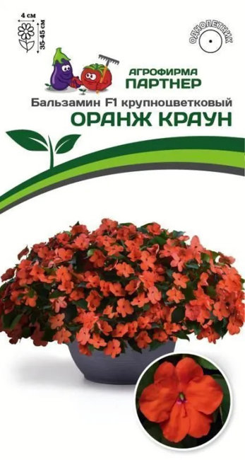 Бальзамин Уоллера F1 крупноцветковый Оранж Краун, 5 шт семян
