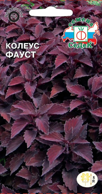 Колеус Фауст, 0.1 г
