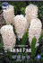 Гиацинт Чайна Пинк (Hyacinthus China Pink), 5 шт (разбор 16/17)