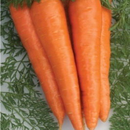 Морковь Дуняша (драже)