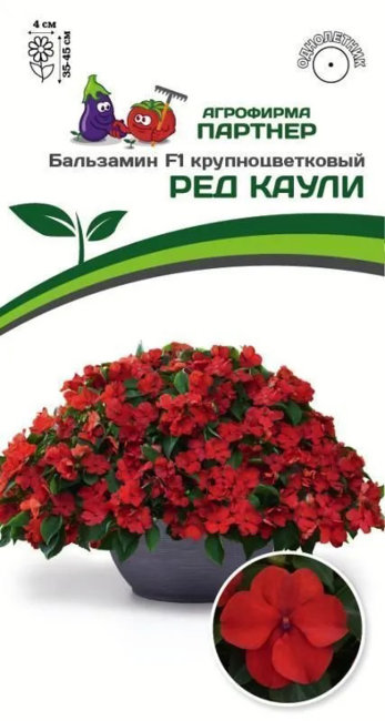 Бальзамин Уоллера F1 крупноцветковый Ред Каули, 5 шт семян