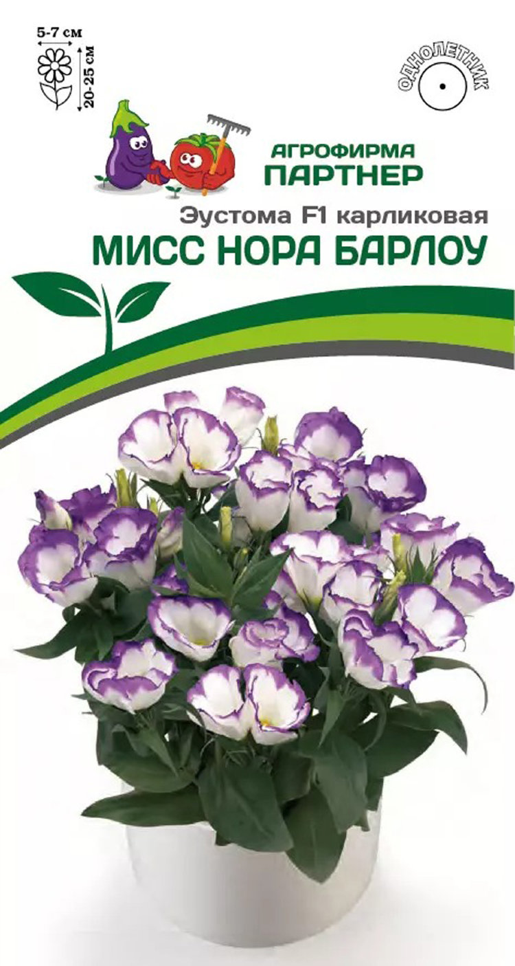 Цветы Эустома Купить Семена