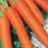 Морковь Нэля