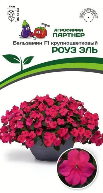 Бальзамин Уоллера F1 крупноцветковый Роуз Эль, 5 шт семян