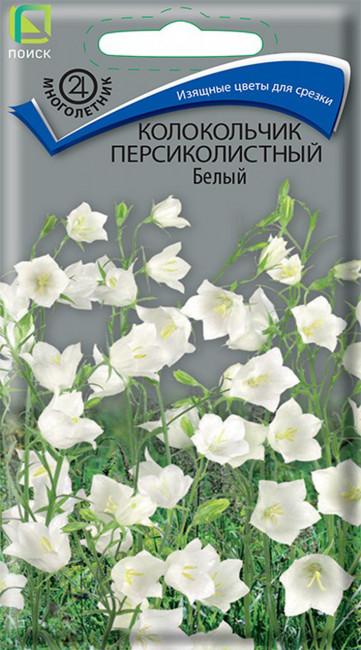 Колокольчик персиколистный Белый, 0.05 г
