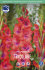 Гладиолус Триколор (Tricolore), 10 шт