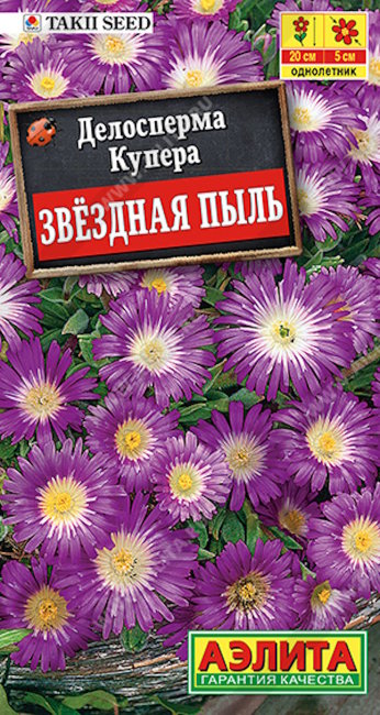 Делосперма Звездная пыль, 5 шт семян