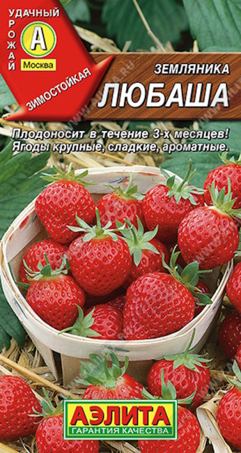 Земляника ремонтантная крупноплодная Любаша, 10 шт семян