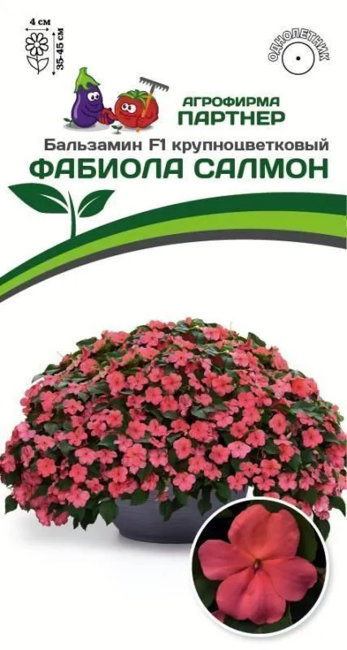 Бальзамин Уоллера F1 крупноцветковый Фабиола, 5 шт семян