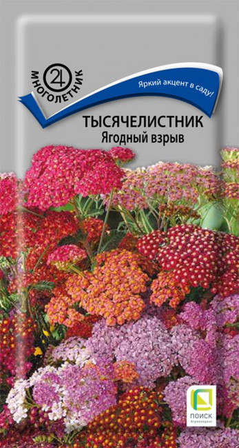 Тысячелистник Ягодный взрыв, 10 шт семян