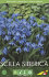 Сцилла Сибирская (Scilla siberica), 7 шт (разбор 7/8)