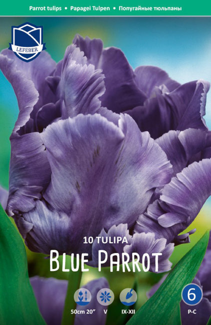Тюльпан Блю Пэррот (Tulipa Blue Parrot), 10 шт (разбор 11/12)