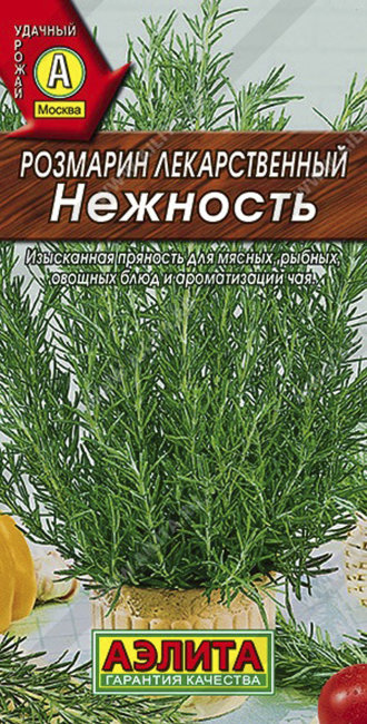 Розмарин Нежность, 20 шт семян
