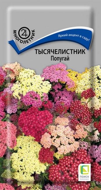 Тысячелистник Попугай, 10 шт семян
