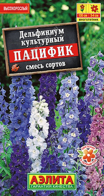 Дельфиниум Пацифик, смесь, 25 шт семян