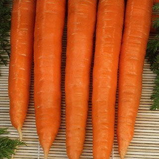 Морковь Крестьянка