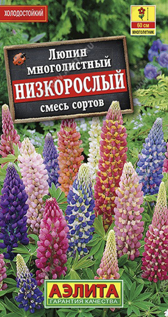Люпин Низкорослый, смесь, 15 шт семян