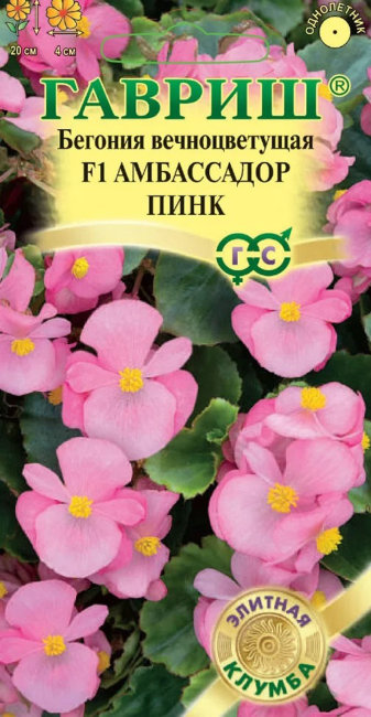 Бегония вечноцветущая Амбассадор Пинк F1, 4 шт семян