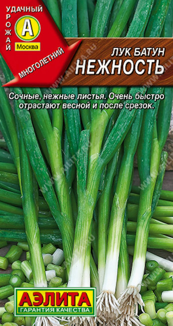 Лук батун Нежность, 1 г