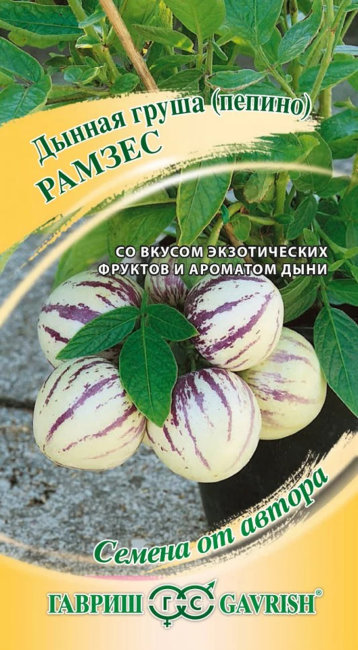 Дынная груша (пепино) Рамзес, 5 шт семян