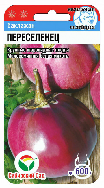 Баклажан Переселенец, 20 шт семян