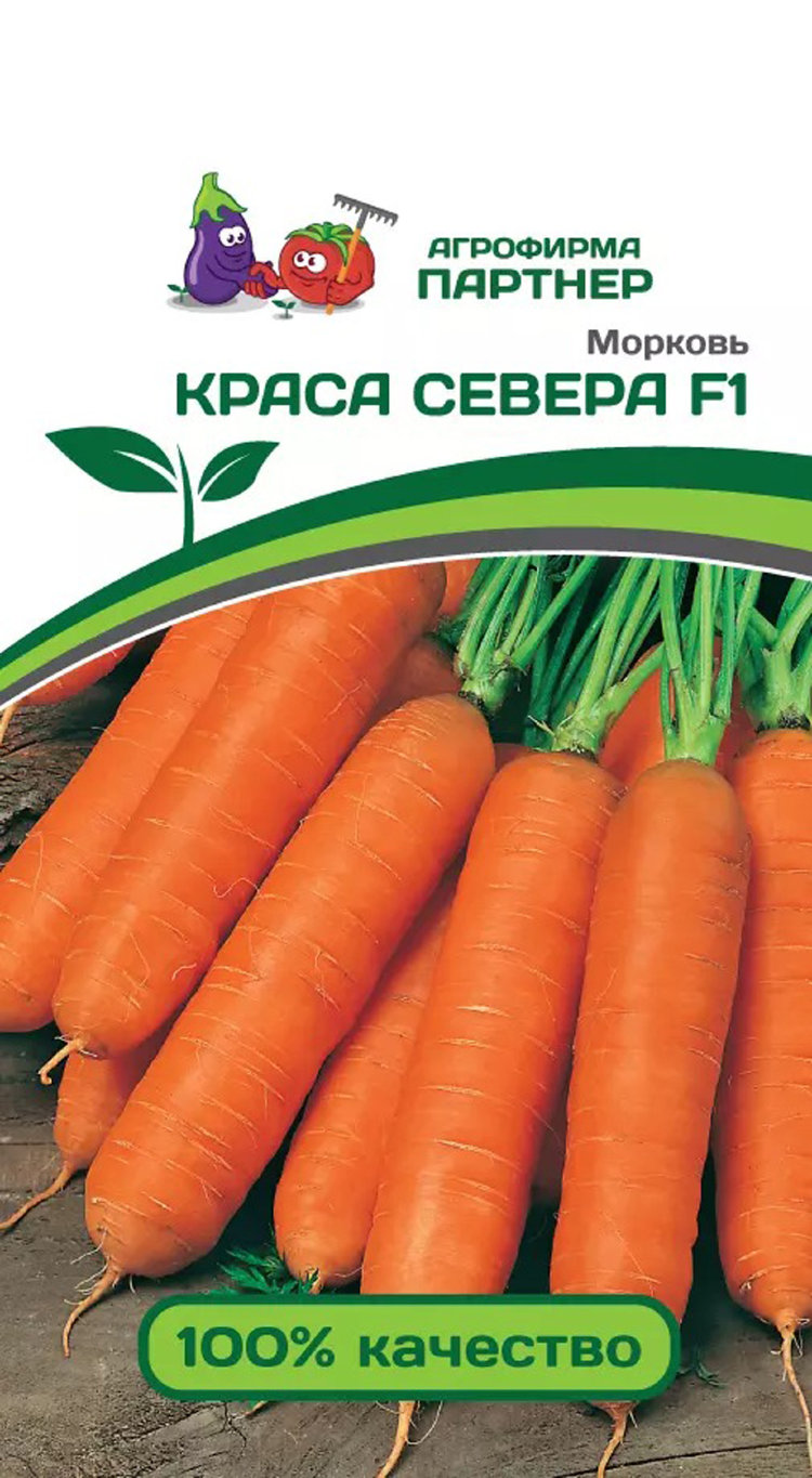 Семена Моркови Купить Цена