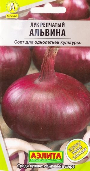 Лук Репчатый Классика Семена Купить