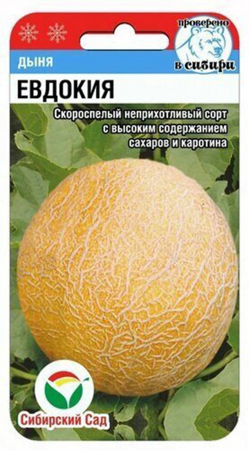 Дыня Евдокия, 7 шт семян