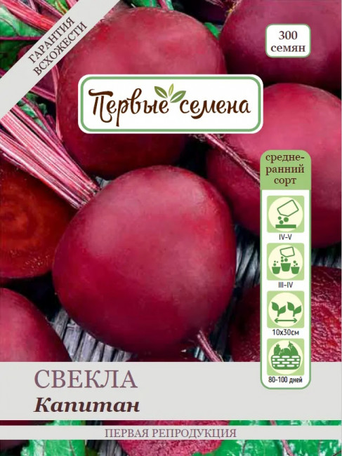 Свёкла столовая Капитан