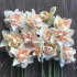Нарцисс Дельнашо (Narcissus Delnashaugh), 5 шт (разбор 12/14)