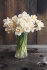 Нарцисс Дельнашо (Narcissus Delnashaugh), 5 шт (разбор 12/14)