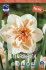 Нарцисс Дельнашо (Narcissus Delnashaugh), 5 шт (разбор 12/14)