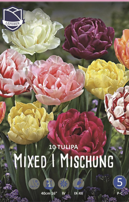 Тюльпан махровый смесь (Tulipa Double mix), 10 шт (разбор 12/14)
