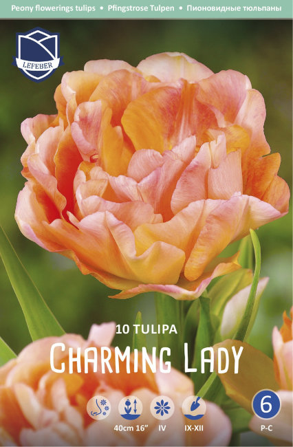 Тюльпан Чармин Леди (Tulipa Charming Lady), 10 шт (разбор 11/12)