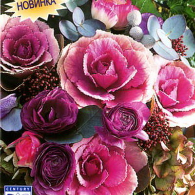 Капуста декоративная Розовая цапля F1, 7 шт семян