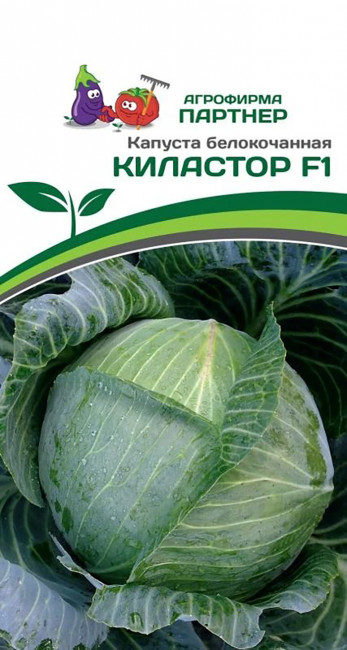 Капуста б/к Киластор, 10 шт семян