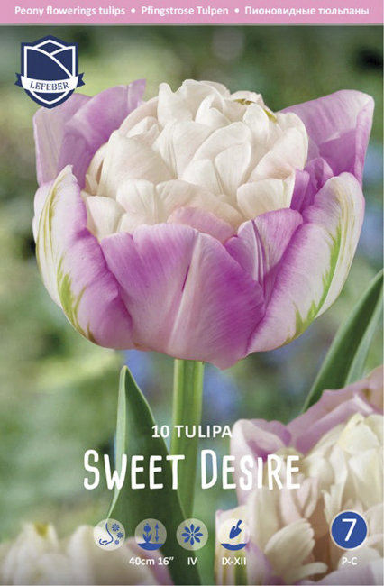 Тюльпан Свит Дезаэ (Tulipa Sweet Desire), 10 шт (разбор 12/14)