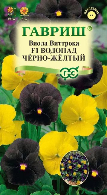 Виола Водопад черно-желтый F1, 4 шт семян