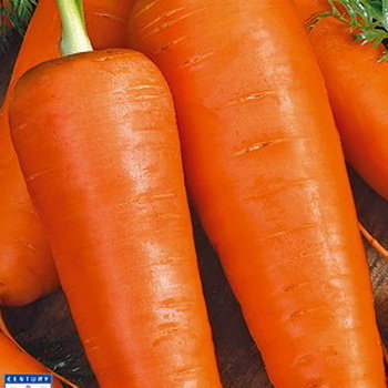 Морковь Апельсинка, 2 г