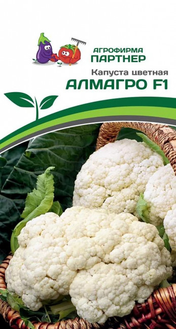 Капуста цветная Алмагро, 10 шт семян