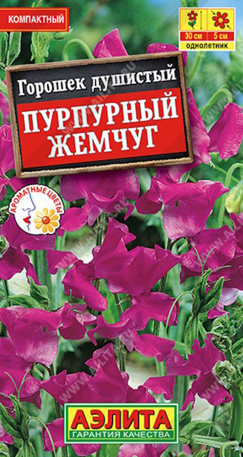Душистый горошек Пурпурный жемчуг, 0.5 г