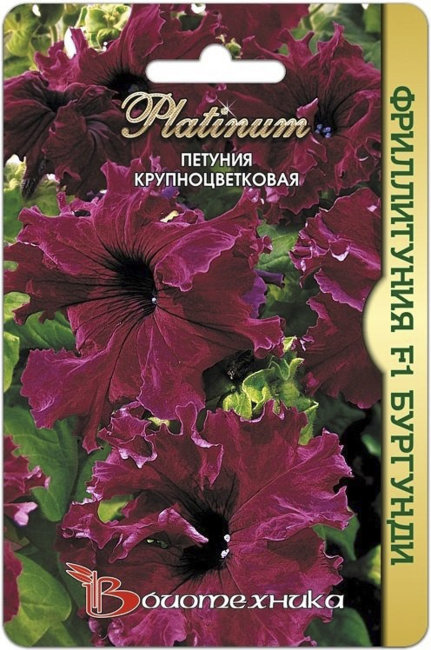 Петуния крупноцветковая Фриллитуния F1 Бургунди, 12 шт семян
