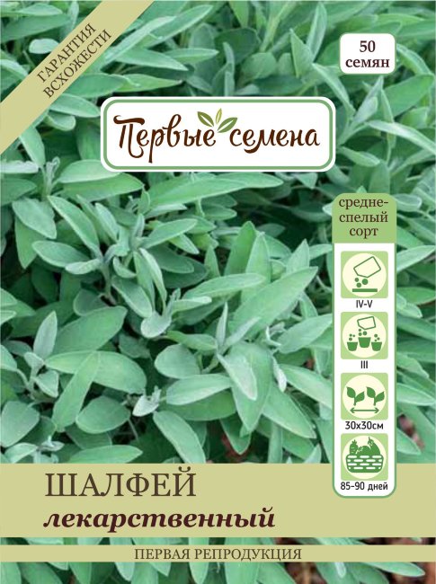 Шалфей лекарственный